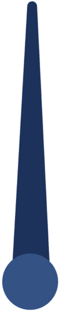 Needle